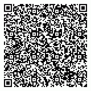 vCard 79138293333