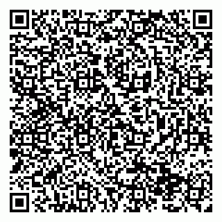 vCard 79138293339