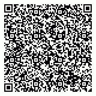 vCard 79138293370