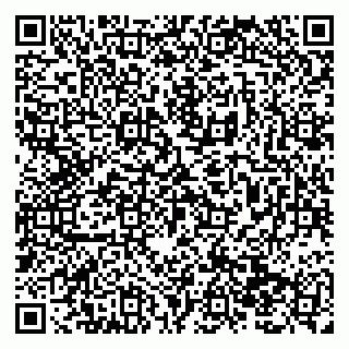 vCard 79138293418
