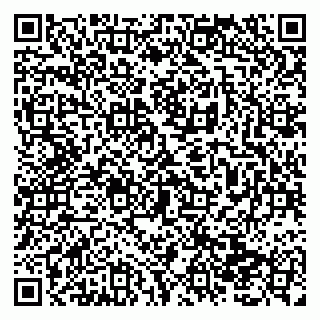vCard 79138293530