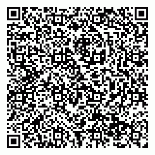 vCard 79138293603