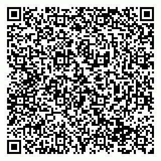 vCard 79138293702