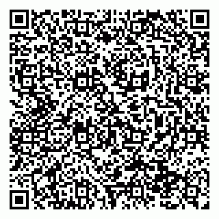 vCard 79138293703