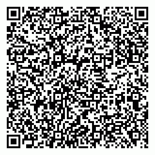 vCard 79138293733