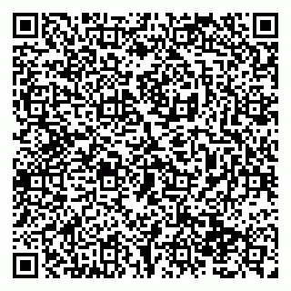 vCard 79138293753