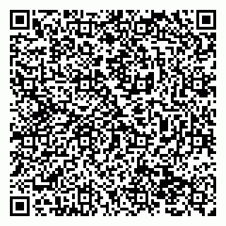 vCard 79138294002