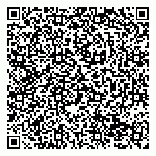 vCard 79138294010
