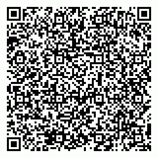 vCard 79138294091