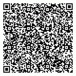 vCard 79138294131
