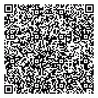 vCard 79138294163