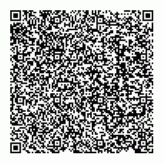 vCard 79138294201