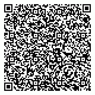 vCard 79138294216