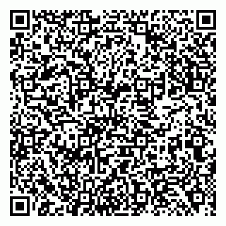 vCard 79138294231