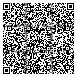 vCard 79138294263