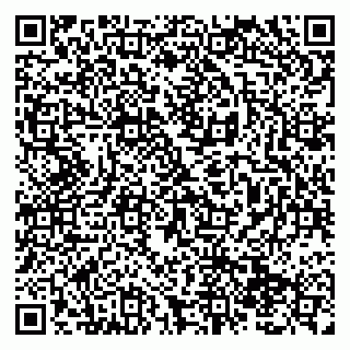 vCard 79138294271