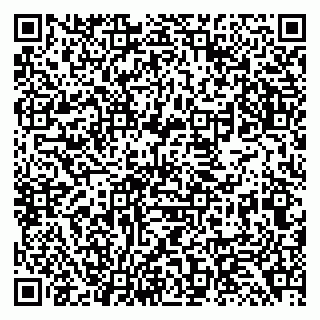 vCard 79138294286