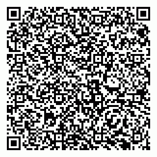 vCard 79138294303