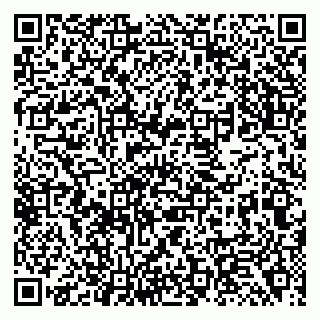 vCard 79138294331
