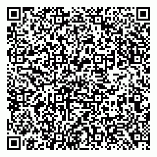 vCard 79138294335