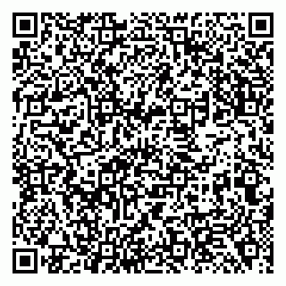 vCard 79138294337