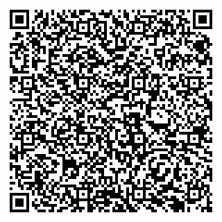 vCard 79138294396
