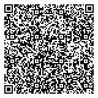 vCard 79138294397