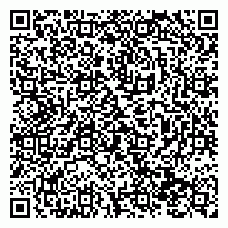 vCard 79138294451