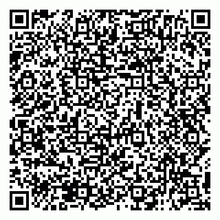 vCard 79138294497