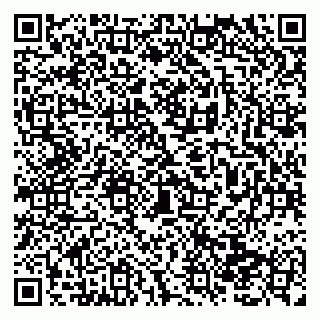 vCard 79138294530