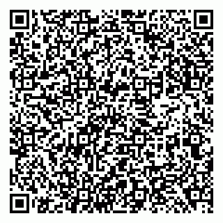 vCard 79138294683