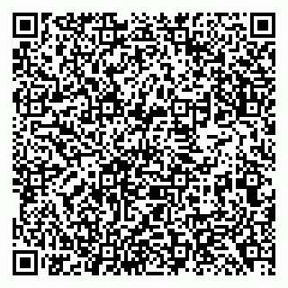 vCard 79138294697