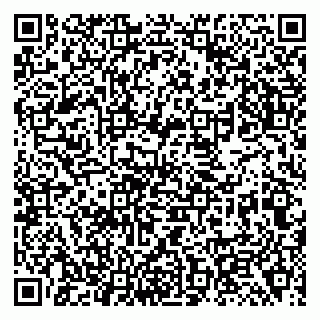 vCard 79138294702