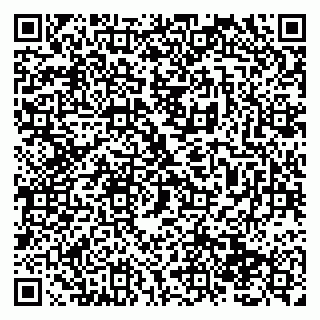 vCard 79138294704