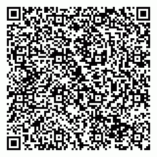 vCard 79138294705