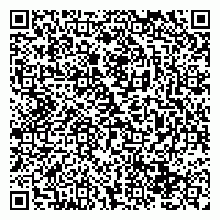 vCard 79138294751