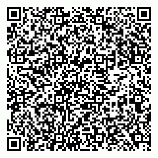vCard 79138294875