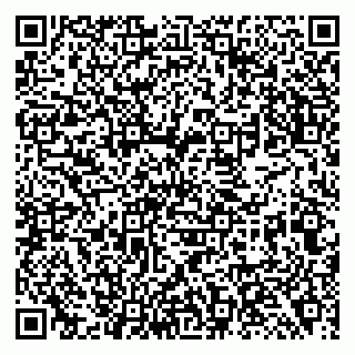 vCard 79138294993