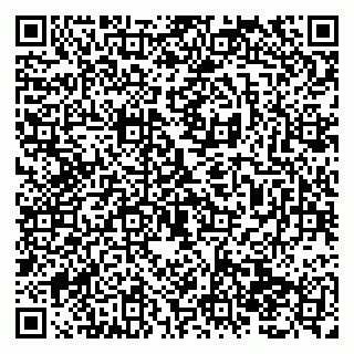 vCard 79138295014