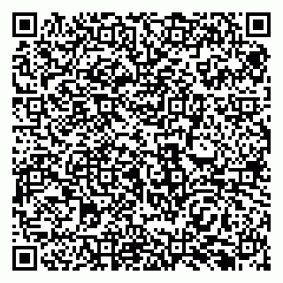 vCard 79138295035