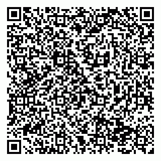 vCard 79138295123