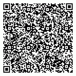 vCard 79138295136