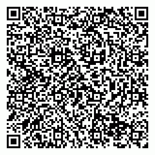vCard 79138295279