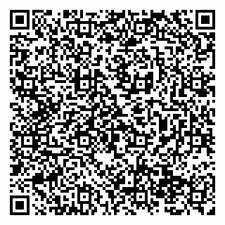 vCard 79138295293