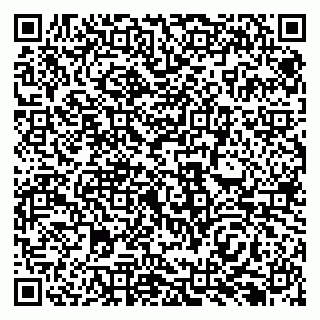 vCard 79138295294