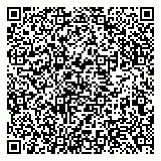 vCard 79138295331