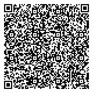 vCard 79138295397