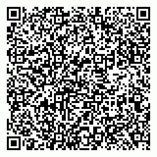 vCard 79138295403