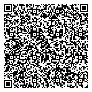 vCard 79138295437