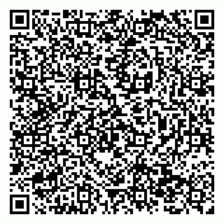 vCard 79138295481